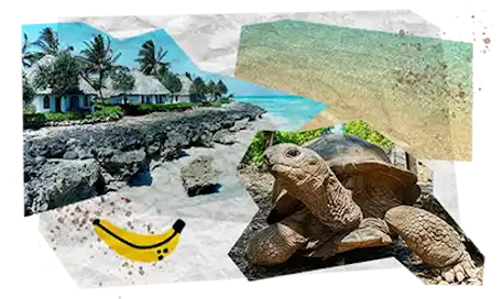 11 Tappe Viaggio DESKTOP Tanzania